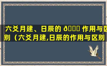 六爻月建、日辰的 💐 作用与区别（六爻月建,日辰的作用与区别）